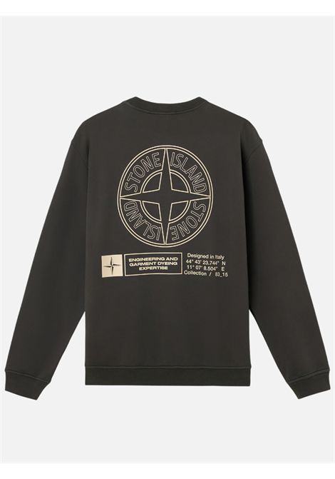 Sweatshirt Stone Island Stone Island |  sweatshirts | S156100018S0195V0062